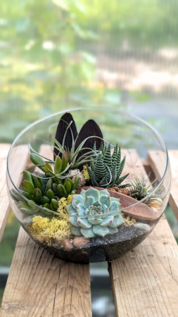 Terrarium workshop